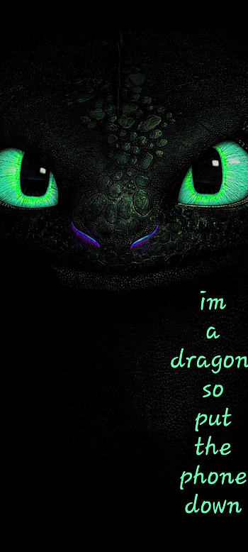 Toothless, the, , protector HD phone wallpaper
