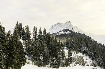 Winter, trees, mountains, outdoor HD wallpaper