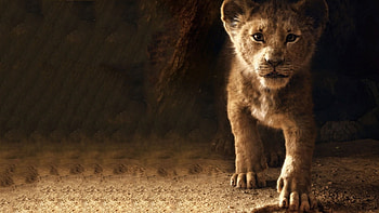 The Lion King, Simba and friends, , Stunning visuals HD wallpaper