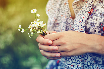 Flowers, Miscellanea, Miscellaneous, Bouquet, Hands, Girl HD wallpaper