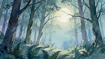 Midnight Glade — Moonlit Forest ( ), Fern, Mist HD wallpaper