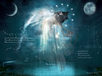 fly, sea, stars, moon, shine HD wallpaper