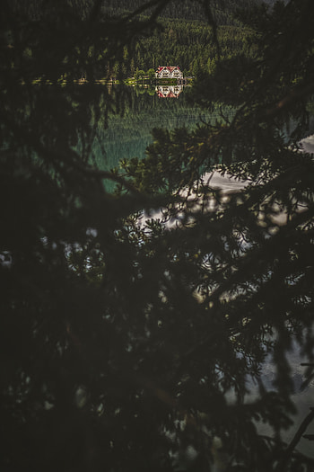 Nature, Lake, Dark, Forest, Branches, House HD phone wallpaper