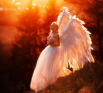 Angel ღ❤ღ, Girl, Beautiful, Woman, Model, Lovely, female HD wallpaper