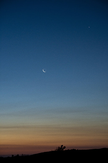 Nature, Sky, Twilight, Moon, Bush, Dusk HD phone wallpaper