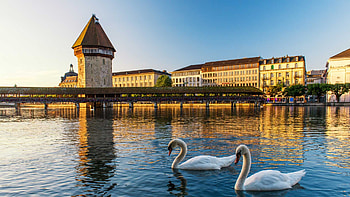 Chapel Bridge, Summer in Lucerne, Rent a car, Swiss adventure HD wallpaper