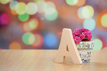 Flowers, Glare, Vase, Letter HD wallpaper
