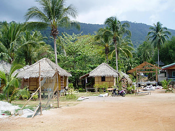 Nature, Beach, Palms, Shore, Bank, Huts, Moped HD wallpaper