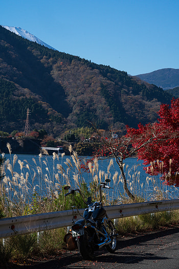 Nature, Motorcycles, Motorcycle, Bike, Chopper HD phone wallpaper
