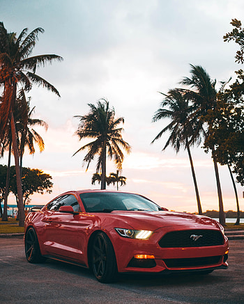 Sports, Mustang, Cars, Car, Machine, Sports Car HD phone wallpaper