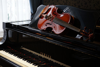Music Still Life, music, string, piano, key, ivory, ebony, violin, instruments HD wallpaper