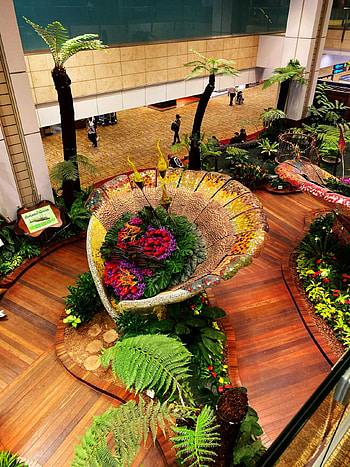Singapore Changi, Travels, Best airport, Wonder of Singapore HD phone wallpaper