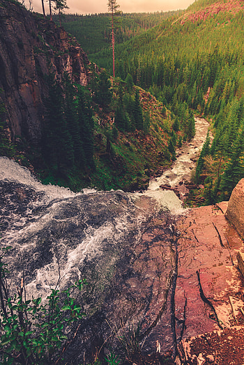 Nature, Rivers, Trees, Rocks, Forest, Slope HD phone wallpaper
