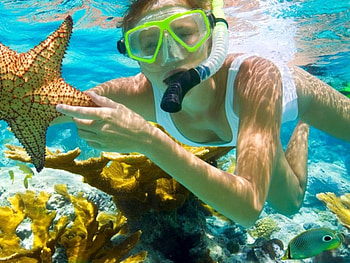 Scubadiving, star, sea, water, vacation HD wallpaper