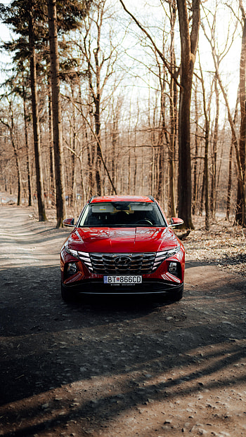 Hyundai, Cars, Road, Forest, Car, Suv HD phone wallpaper