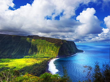 Above the ocean, blue, shadow, beauty, vegetation, background, shore, seascape, amazing, water, white, landscape, beautiful, grass, green, clouds, above, nature, sky HD wallpaper