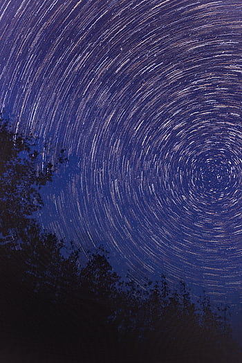 Captivating star trails spiral in a clear night sky above a forest silhouette. HD phone wallpaper