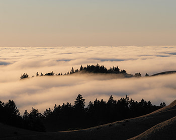 Nature, Trees, Sky, Clouds, Forest, Fog HD wallpaper