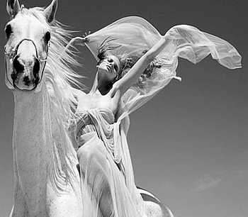 dom, horse, white, breeze HD wallpaper