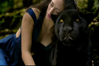 beauty, puma, dark, chill HD wallpaper