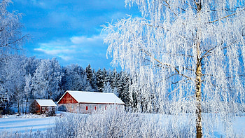 Paimio, Finland, landscape, trees, house, snow, scandinavia HD wallpaper