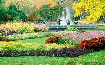 Fall flower garden, Autumn beauty, Seasonal colors, Nature's farewell HD wallpaper