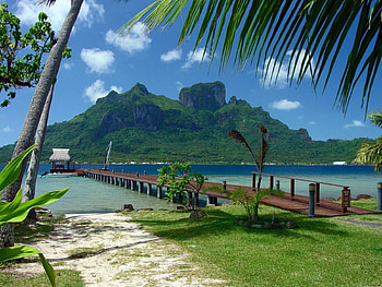 Nature, Palms, Mountain, Shore, Bank, Pier, Bridge, Tropics, Wharf, Bower, Alcove, Berth HD wallpaper