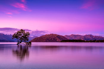 A tranquil scene of a lonely tree in a lake against mountains at a colorful sunset. HD wallpaper
