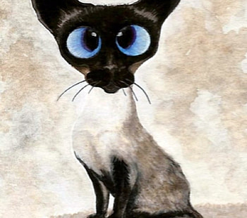 Siamese Cat, Animals, White, Eyes, Cats, Blue HD wallpaper