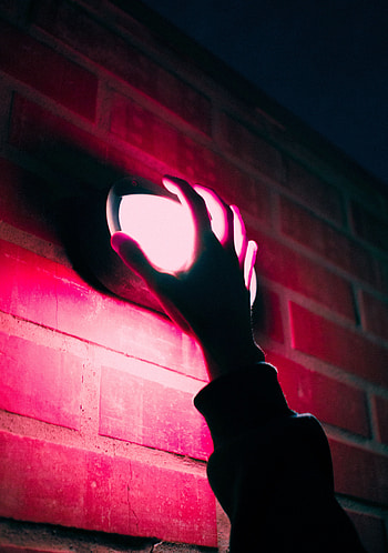 Pink, Dark, Shine, Light, Hand, Wall, Neon, Lamp, Lantern HD phone wallpaper