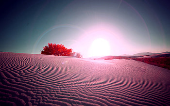 Desert Flare, desert, nature HD wallpaper