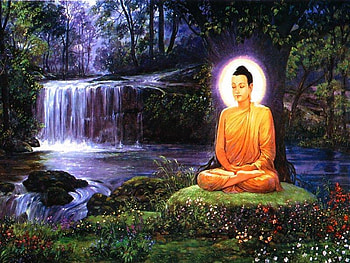 Waterfall, trees, nature, flowers, meditation HD wallpaper