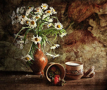 still life, wase, flowers, light, daisy HD wallpaper