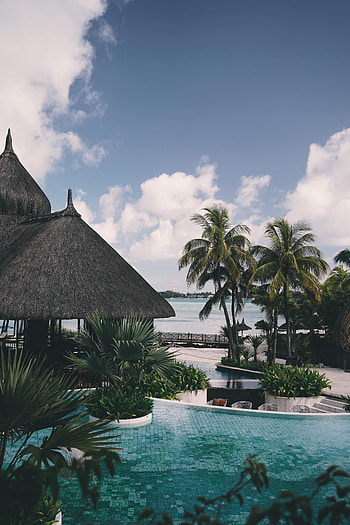 Nature, Palm, Relaxation, Rest, Pool, Vacation HD phone wallpaper
