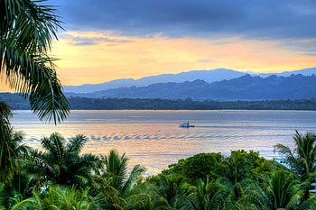 Livingston Guatemala, Mountain scenery, Guatemala nature, Guatemala palm trees HD wallpaper