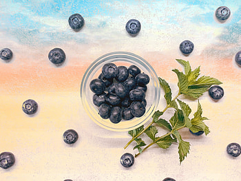 Food, Leaves, Bilberries, Branches, Berry HD wallpaper