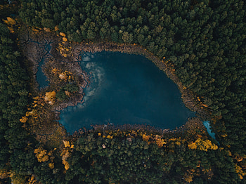 Nature, Trees, View From Above, Lake HD wallpaper