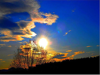 Saturday sunset, blue sky, wispy clouds, golden color, sunset, tree HD wallpaper