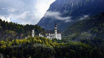 Neuschwanstein Castle HD wallpaper