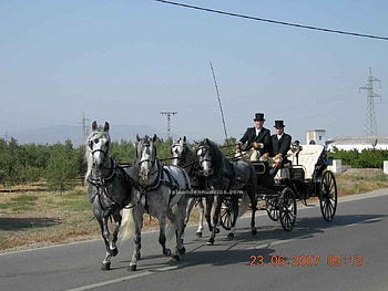 Calendas, spain, horses, sevilla, seville, people, carriage, spanish horses HD wallpaper
