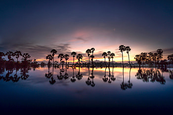 Reflections, tree, shore, sunset, silhouette HD wallpaper