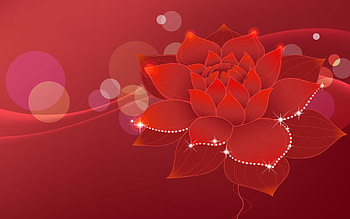 png frames designs: Collection of Abstract Flowers Design HD wallpaper