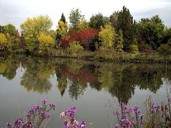 Cathryn Albertsons park in Boise, boise, cathrynalbertsons, park HD wallpaper