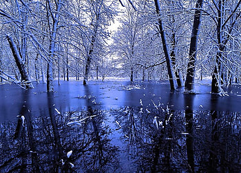 Sapphire Winter Landscape, winter, blue, snow, trees, nature, wonderful, reflections, pond HD wallpaper