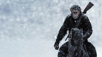 Andy Serkis, , Background HD wallpaper