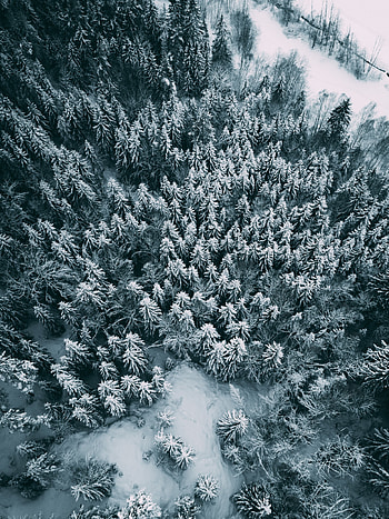 Winter, Nature, Snow, View From Above, Forest HD phone wallpaper