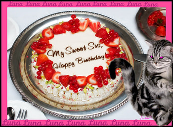 Happy Birtay,My Sweet Sis , Day, Birtay, Sweet, Luna, Special, Friend, Happy, Cake, Cat, Sis HD wallpaper