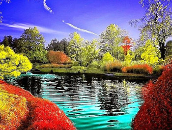 Just Outside Heaven, landscape, clouds, trees, autumn, nature, lake HD wallpaper
