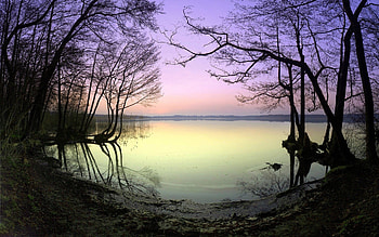 lake in pastel colors, trees, shore, colors, lake HD wallpaper