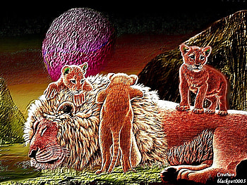 lion, god, galaxies, planets, universe, cats, abstract, stars2012, animals, space, world, nature, astral HD wallpaper